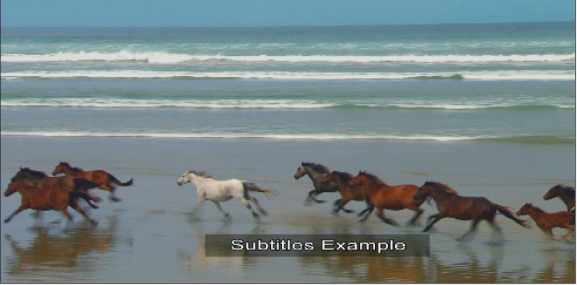 CharGen_Subtitles.png