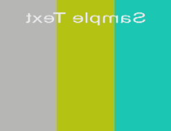 CharGen_TextFilpX.png